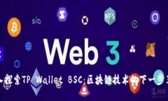 深入探索TP Wallet BSC：区块链技术的下