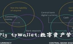  深入探索Pig tpWallet：数字资产管理的