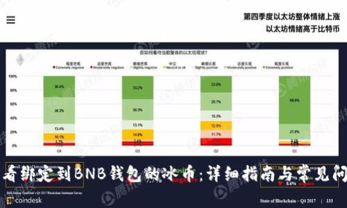 如何查看绑定到BNB钱包的冰币：详细指南与常见问题解答