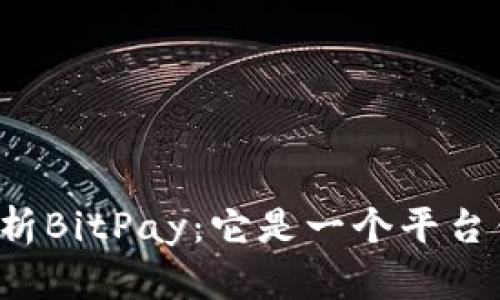 深度解析BitPay：它是一个平台钱包吗？