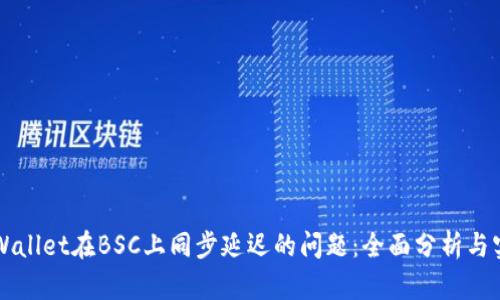 解决TPWallet在BSC上同步延迟的问题：全面分析与实用指南