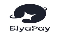 如何解决区块转账迟迟未到账的问题：