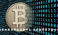 全面解析比特币钱包登录日志：保护数