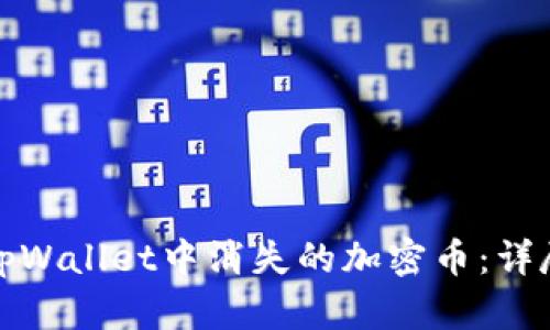 如何成功找回在tpWallet中消失的加密币：详尽攻略与解决方案