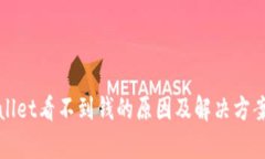 tpWallet看不到钱的原因及解决方案详解