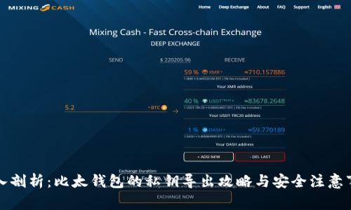 深入剖析：比太钱包的私钥导出攻略与安全注意事项