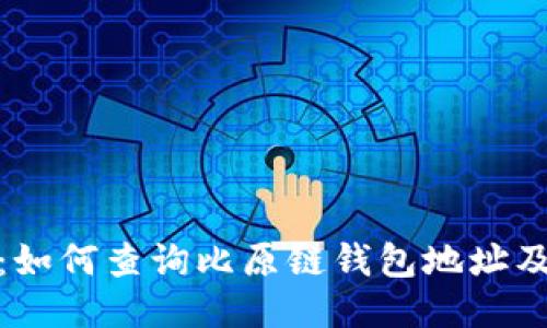 : 全面指南：如何查询比原链钱包地址及其相关信息