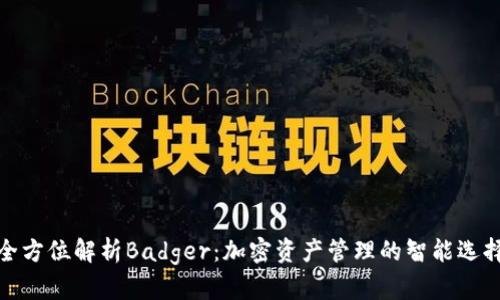 全方位解析Badger：加密资产管理的智能选择