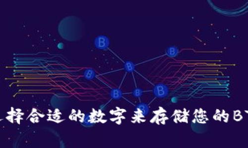 如何选择合适的数字来存储您的BTN资产